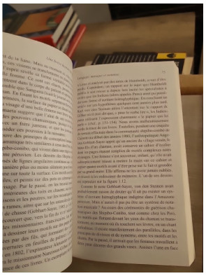 Une brève histoire des lignes - Anthropologie des traces, gestes et formes