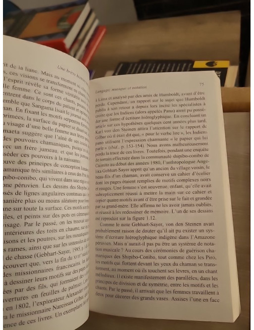 Une brève histoire des lignes - Anthropologie des traces, gestes et formes