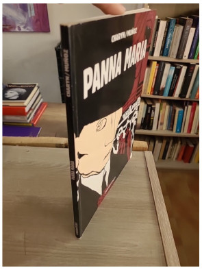 Panna Maria - Roman graphique noir dans l'Amérique du début du siècle