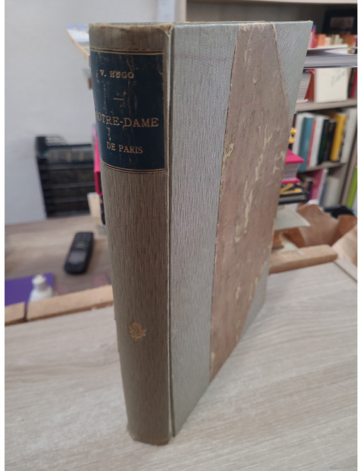 Notre-Dame de Paris de Victor Hugo