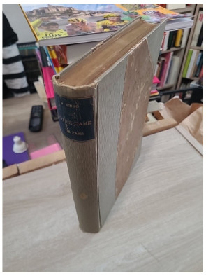 Notre-Dame de Paris de Victor Hugo