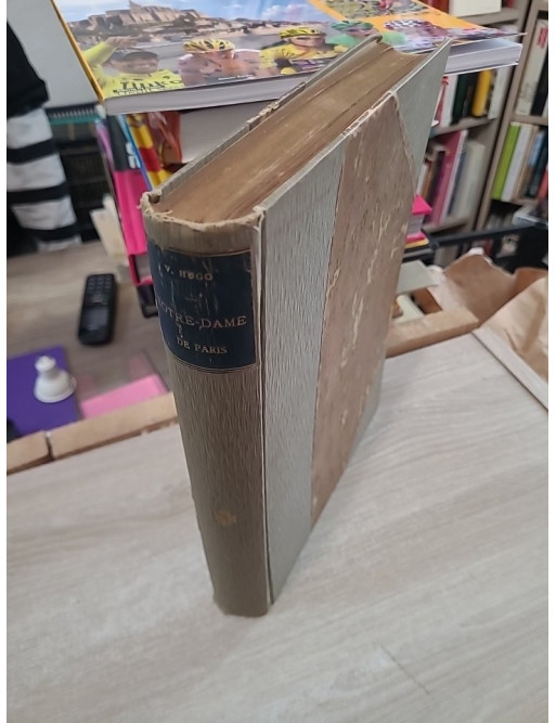 Notre-Dame de Paris de Victor Hugo