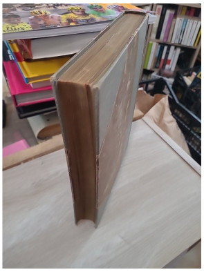 Notre-Dame de Paris de Victor Hugo