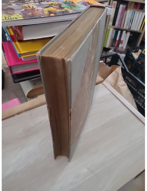 Notre-Dame de Paris de Victor Hugo