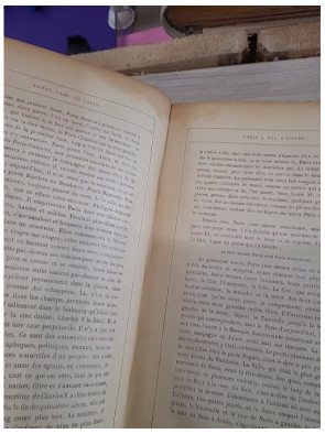 Notre-Dame de Paris de Victor Hugo