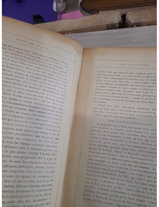 Notre-Dame de Paris de Victor Hugo