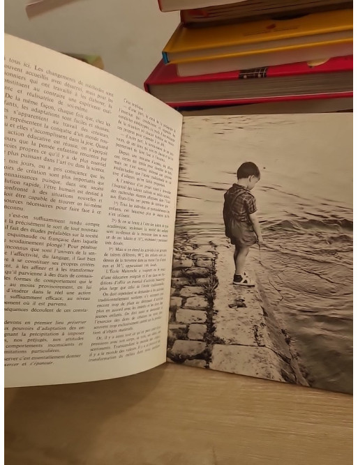 Les orientations de l'école maternelle française contemporaine