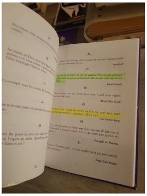 Le livre des jours - Marc de Smedt