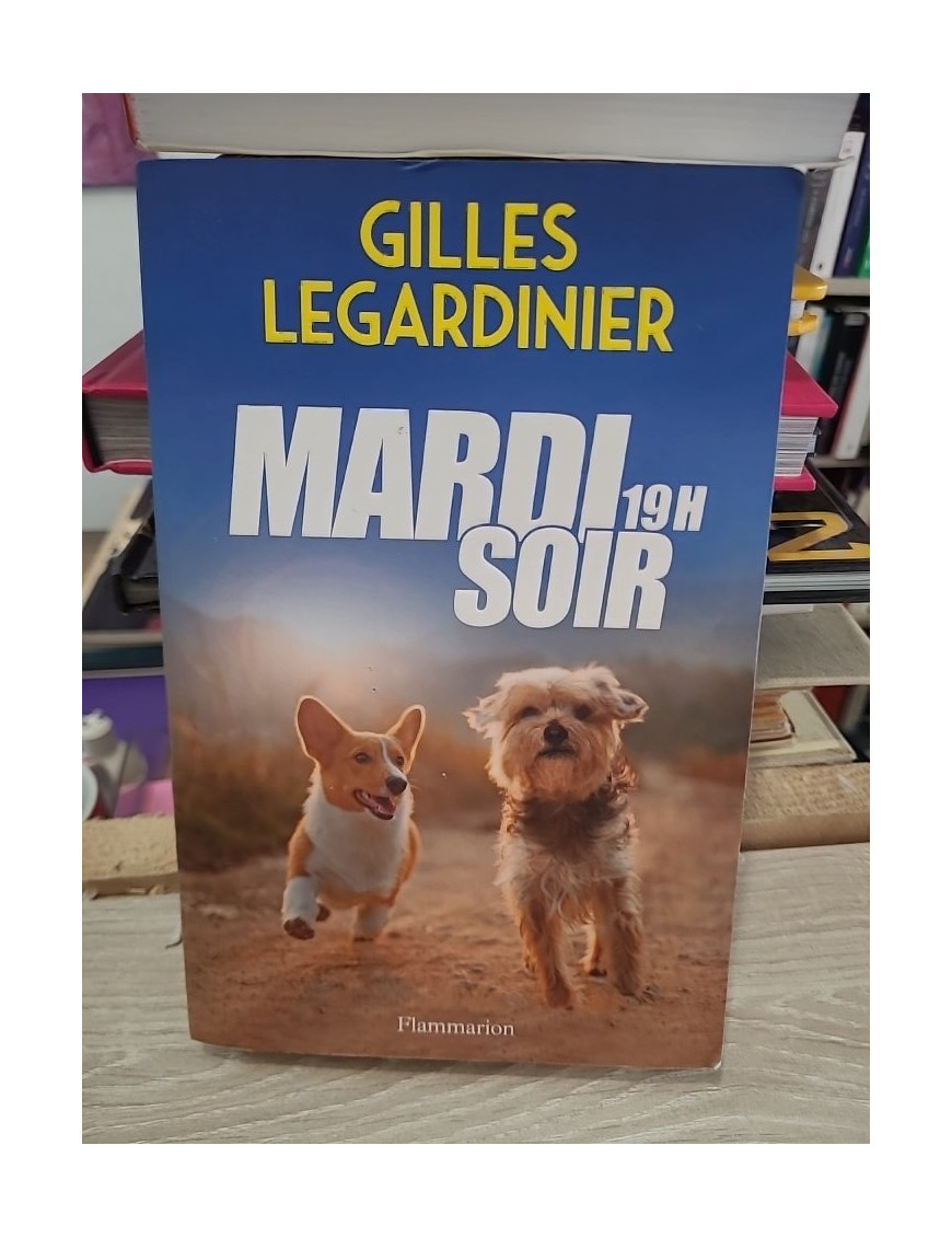 Mardi soir, 19h : roman contemporain sur la reconstruction personnelle