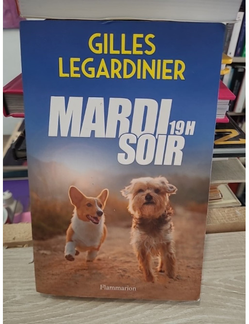 Mardi soir, 19h : roman contemporain sur la reconstruction personnelle