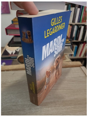 Mardi soir, 19h : roman contemporain sur la reconstruction personnelle