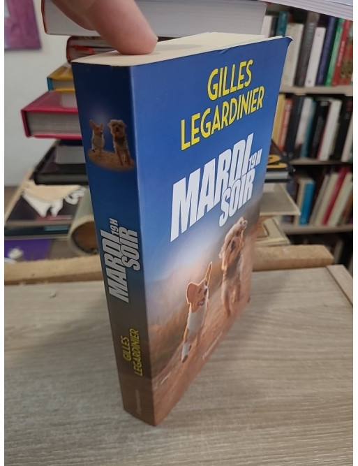 Mardi soir, 19h : roman contemporain sur la reconstruction personnelle