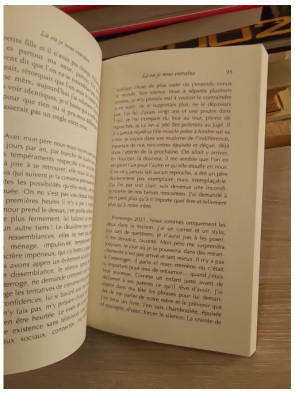 Là où je nous entraîne : roman intime sur la mémoire familiale et les secrets