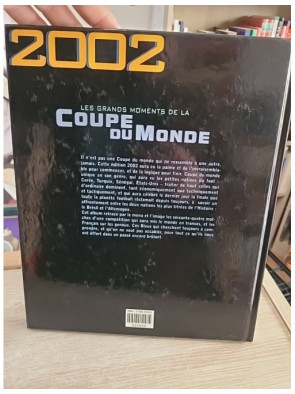 Les grands moments de la Coupe du Monde 2002