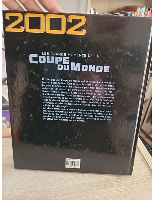 Les grands moments de la Coupe du Monde 2002