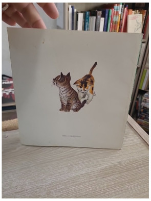 Jeux de jeunes animaux - Collection Archimède École des Loisirs