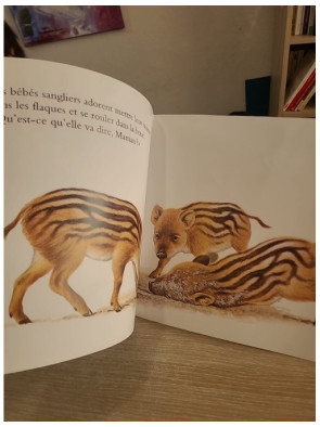 Jeux de jeunes animaux - Collection Archimède École des Loisirs