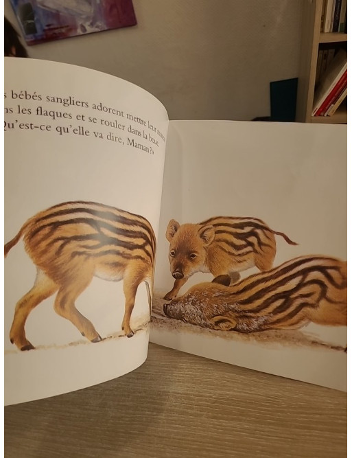 Jeux de jeunes animaux - Collection Archimède École des Loisirs