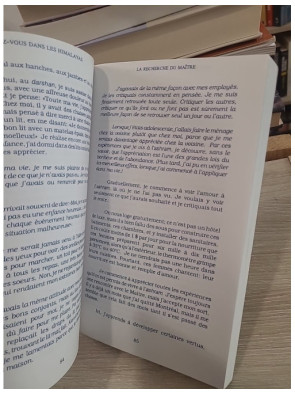 Rendez-vous dans les Himalayas Tome 1 - Ma quête de vérité | Voyage spirituel en Inde