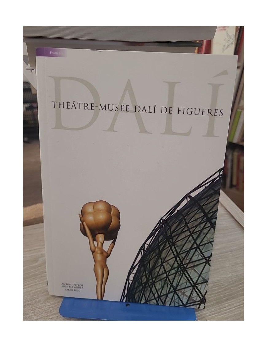 Théâtre-Musée Dalí de Figueres | Guide illustré du musée