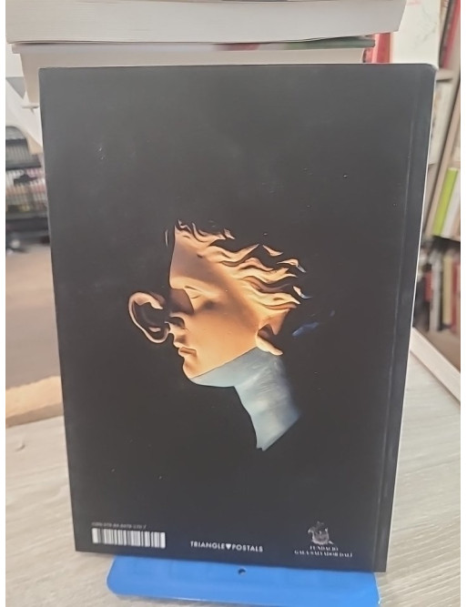 Théâtre-Musée Dalí de Figueres | Guide illustré du musée