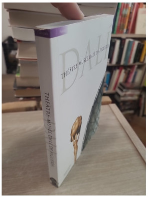 Théâtre-Musée Dalí de Figueres | Guide illustré du musée