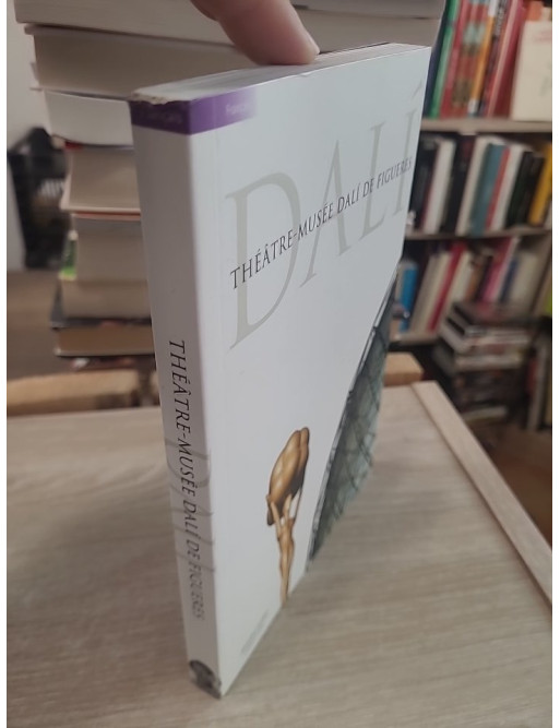Théâtre-Musée Dalí de Figueres | Guide illustré du musée