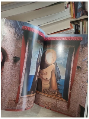 Théâtre-Musée Dalí de Figueres | Guide illustré du musée