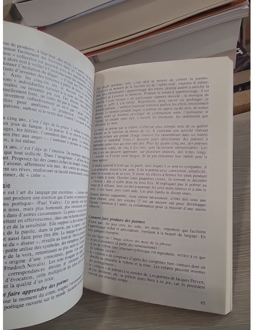 Les enfants de quatre à six ans à l'école maternelle - Approches pédagogiques et pratiques éducatives
