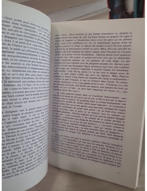 L'École : mode d'emploi - Réflexions et pratiques de la pédagogie différenciée