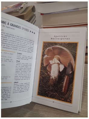 Les champignons - Les reconnaître, les récolter et les cuisiner facilement
