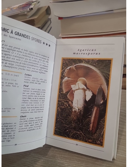 Les champignons - Les reconnaître, les récolter et les cuisiner facilement