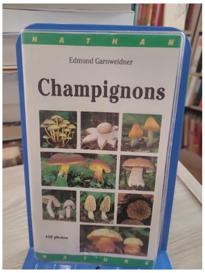 Champignons (gros plan) - Guide d'identification des champignons d'Europe