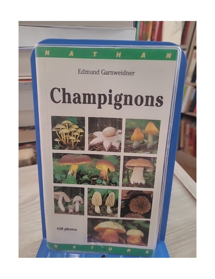 Champignons (gros plan) - Guide d'identification des champignons d'Europe