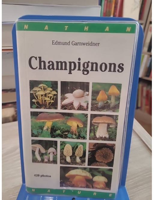 Champignons (gros plan) - Guide d'identification des champignons d'Europe