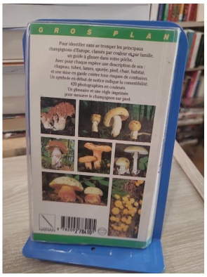 Champignons (gros plan) - Guide d'identification des champignons d'Europe