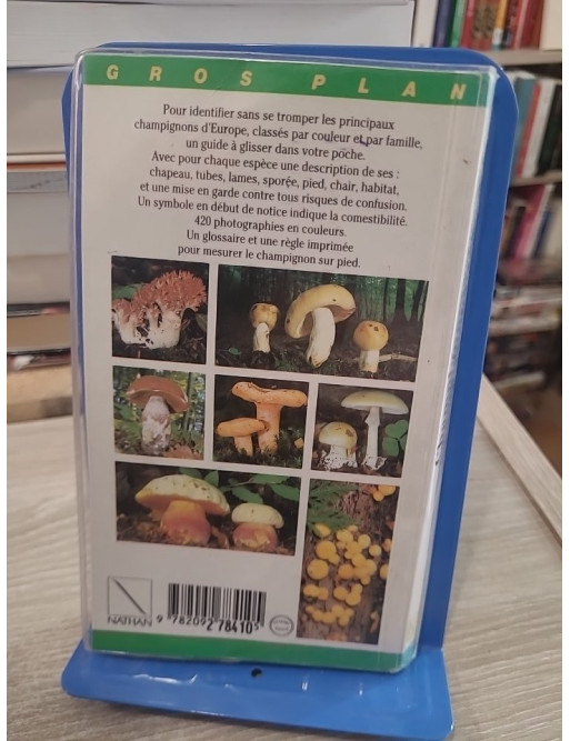 Champignons (gros plan) - Guide d'identification des champignons d'Europe