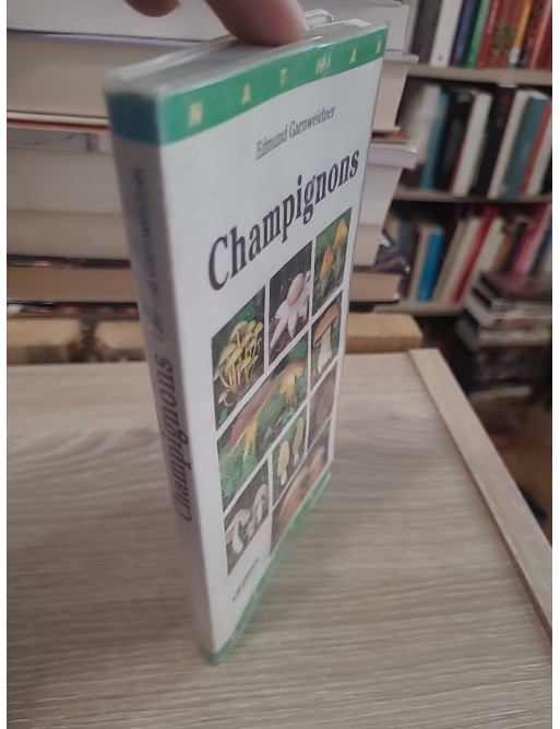 Champignons (gros plan) - Guide d'identification des champignons d'Europe