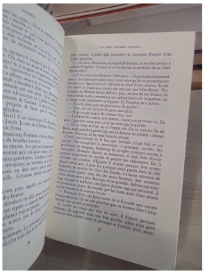 Iosseph, le Juif du Nil - Roman historique dans l'Égypte antique