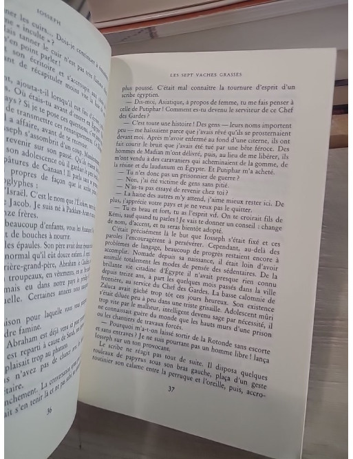 Iosseph, le Juif du Nil - Roman historique dans l'Égypte antique