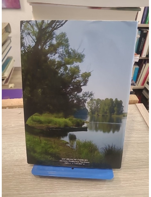 Mémento de la Sûreté Nucléaire en Exploitation - Guide pratique et technique