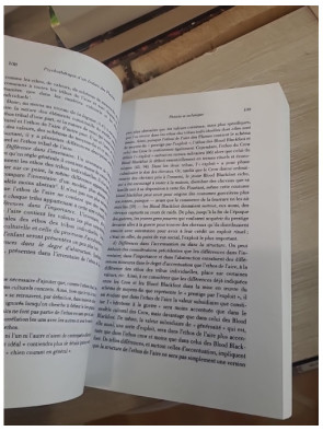 Psychothérapie d'un Indien des Plaines - Ethnopsychanalyse et cas clinique