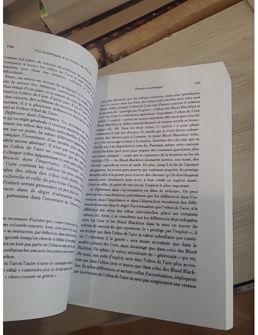 Psychothérapie d'un Indien des Plaines - Ethnopsychanalyse et cas clinique