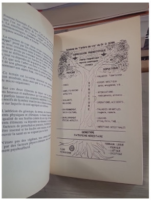 Tout savoir sur l'homéopathie - Guide pratique et principes fondamentaux