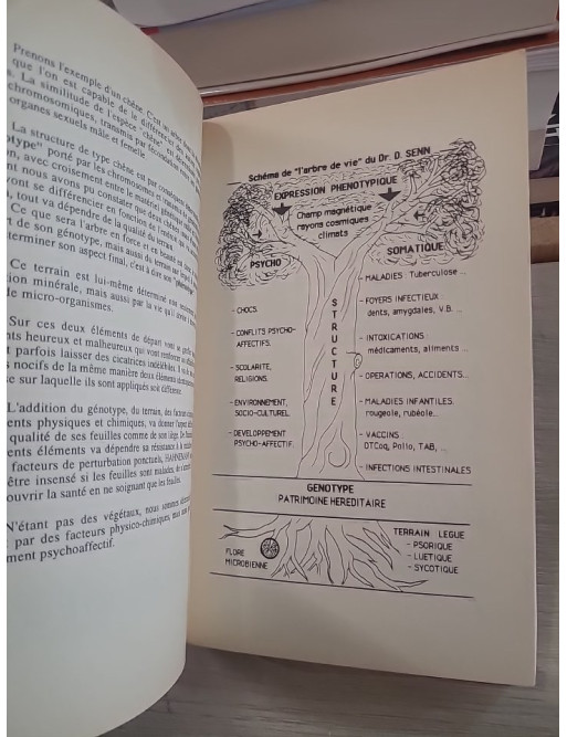 Tout savoir sur l'homéopathie - Guide pratique et principes fondamentaux