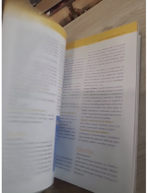 Les Herbes Aromatiques - Guide pratique illustré des plantes aromatiques