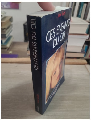 Ces enfants du ciel - Récits et témoignages d’enfants en situation de détresse