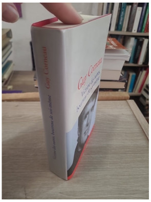 Victime des autres, bourreau de soi-même - Comprendre les mécanismes de la souffrance intérieure