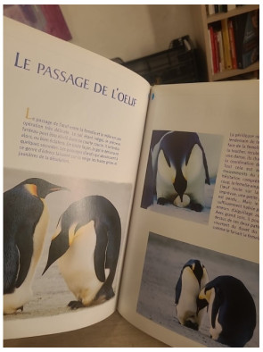 La marche de l'empereur - L'incroyable voyage des manchots empereurs en Antarctique