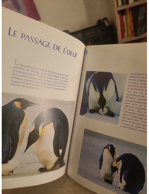 La marche de l'empereur - L'incroyable voyage des manchots empereurs en Antarctique